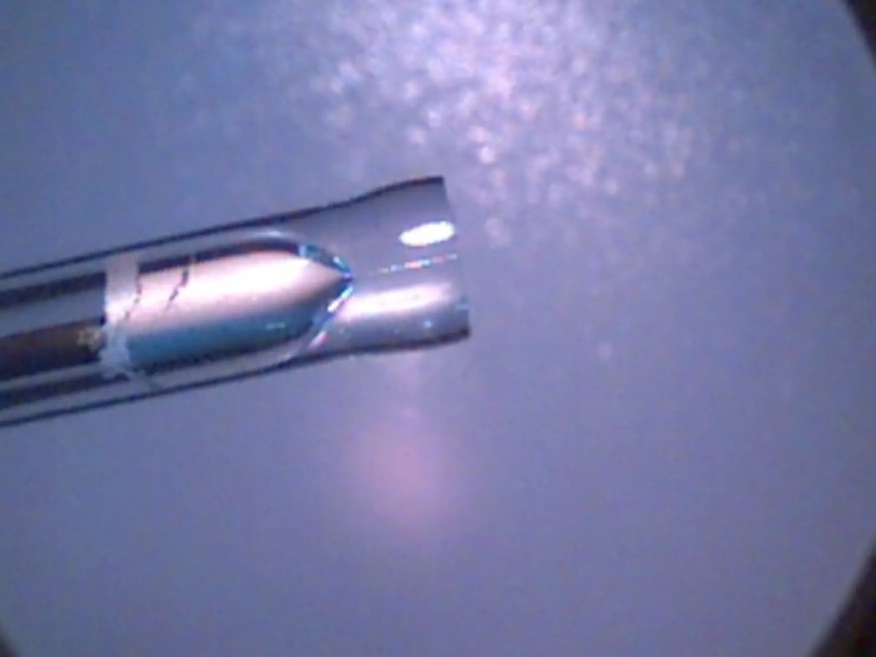 微小電極の先端形状